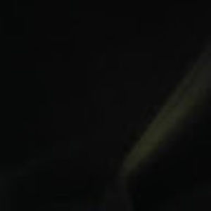 Meet your Posher, Grass